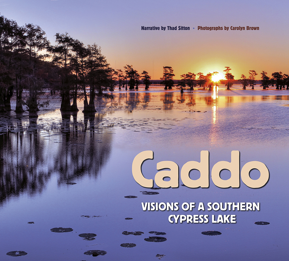 Caddo: Visions of a Southern Cypress Lake