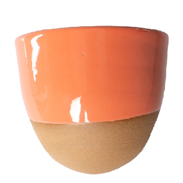 Coral Wall Planter