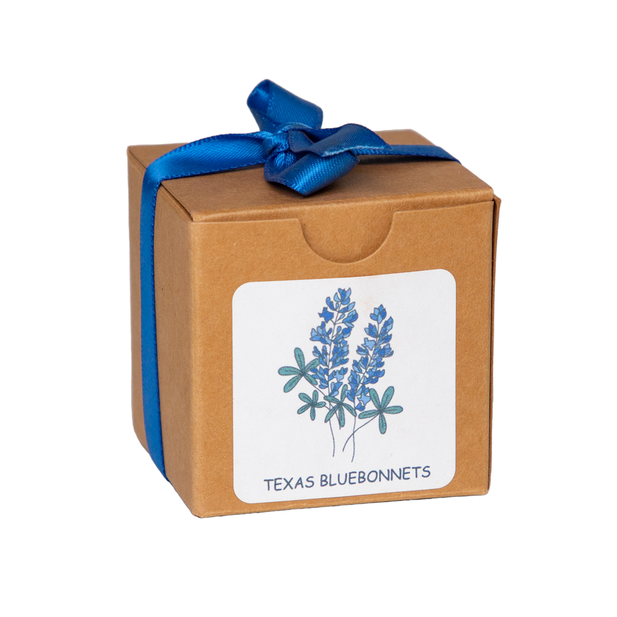 Texas Bluebonnet Growing Kit