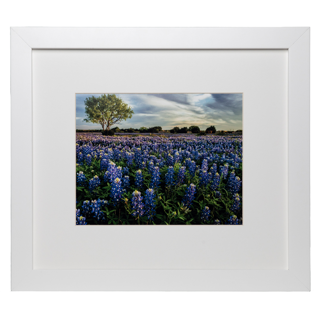 2023 Wildflower Shop Texas Highways Mercantile