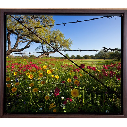 Wildflowers, Framed Photograph