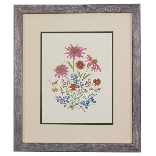 Texas Wildflowers Framed Prints