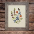Texas Wildflowers I thumbnail