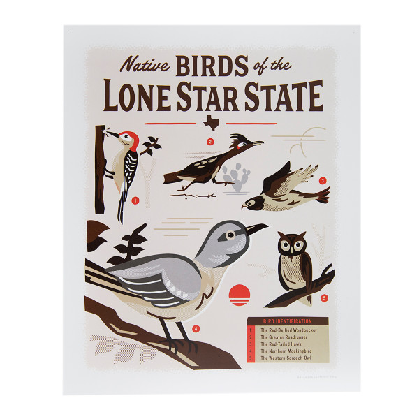 Native Birds of Texas Poster
